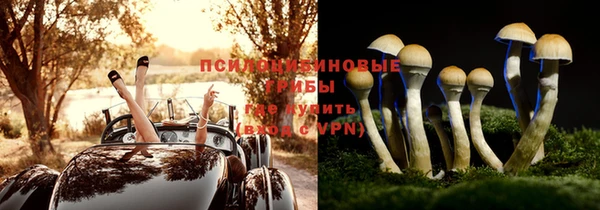 синтетический гашиш Алексеевка
